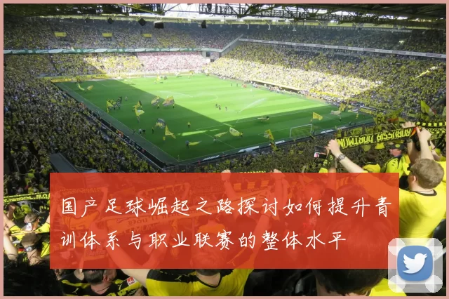 国产足球崛起之路探讨如何提升青训体系与职业联赛的整体水平